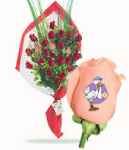 Rosas para Nacimientos  Tigre